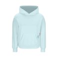thumbnail image 5 of Ltctricy Hoodies for Women Soft Casual Long Sleeve Embroidered Hooded Sweatshirts Pullover Sweater Tops with Pockets(Light Blue,Large), 5 of 7