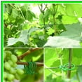 Green Twist Plant Ties with Clips for Garden Support
