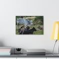 thumbnail image 3 of Zebu Group Zebu Troop Print Animal Wall Art Wildlife Canvas Prints Wall Art Ready to Hang Unframed, 3 of 18