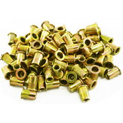 ASTRO PNEUMATIC TOOL CO. 100pc 1/4-20 Steel Rivet Nuts