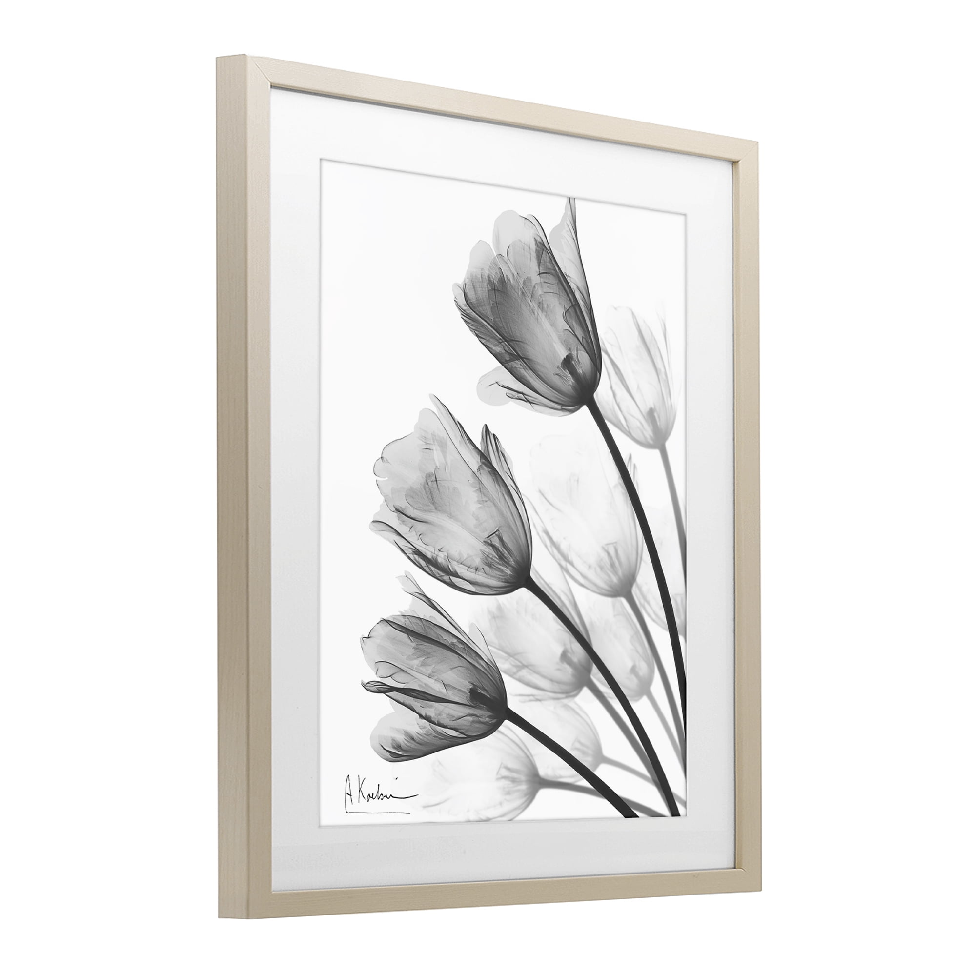 Stupell Industries Minimalist Tulip Fan Birch Framed Print Under Glass, design by Albert Koetsier