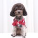 thumbnail image 5 of Camisa para perro con estampado de piña Gato y cachorro ajustable Adepaton CPB-US-YY290-8, 5 of 5