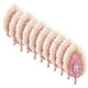 thumbnail image 1 of 20 parches decorativos de plumas de pavo real para manualidades, delicados parches para abrigos, 1 of 8
