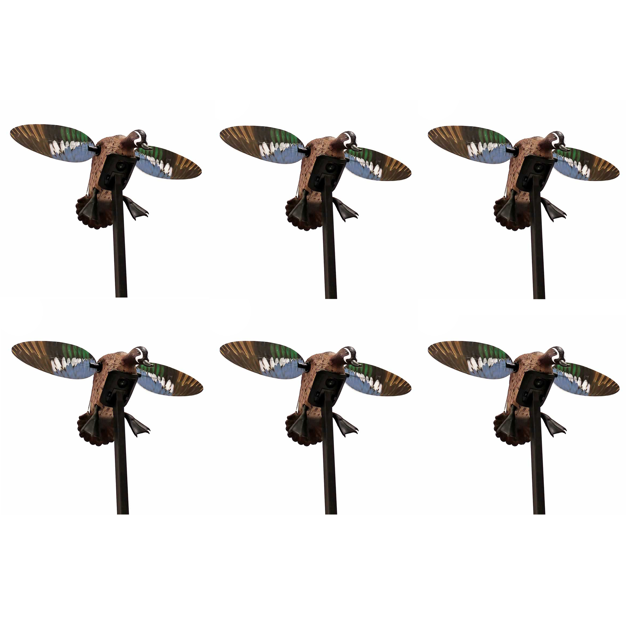 Mojo Outdoors Elite Series Blue Wing Teal Wing Duck Decoy with Pole (6 Pack)