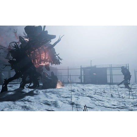 Fade to Silence, THQ-Nordic, Xbox One, 811994021427