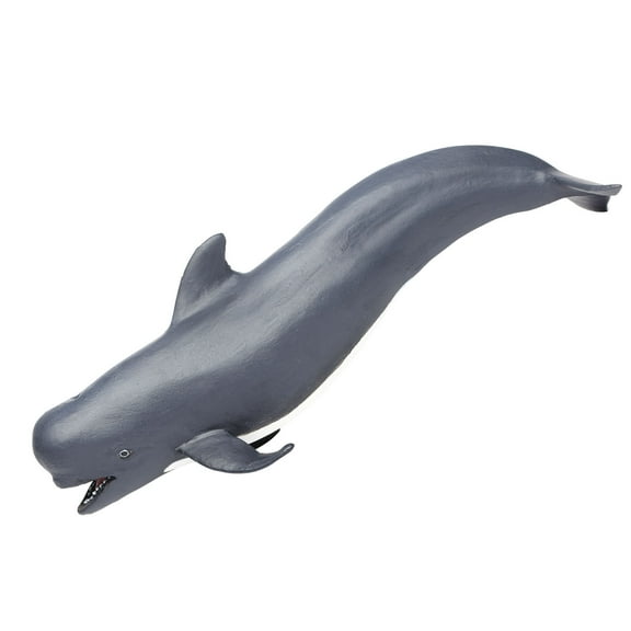 Safari Ltd. Pilot Whale Figurine - Lifelike 5.75" Model Figure - Educational Toy for Boys, Girls, and Kids Ages 3 