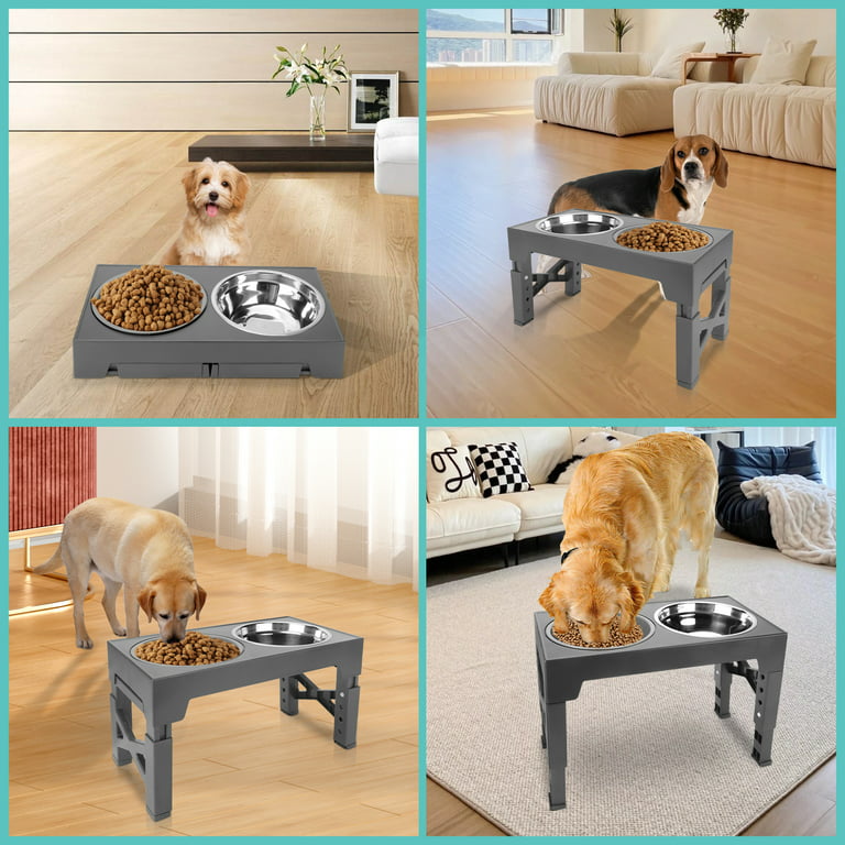 Adjustable Elevated Dog Bowls - 2 Stainless Steel Raised Dog Bowl, 5  Heights (3.15-12.2), Perfect for Small, Medium & Large Dogs