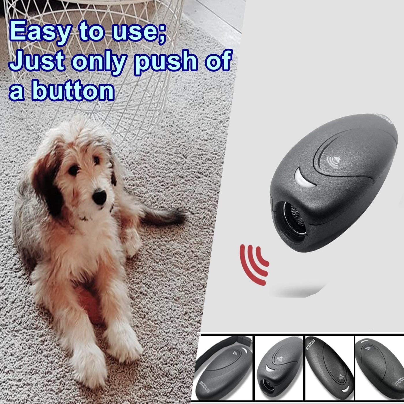 Why Do Dogs Bark At Vacuum