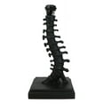 thumbnail image 5 of Vertebrae Back Bones Spine Skeleton Human Anatomy Table Lamp With Black Shade, 5 of 10