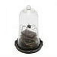 thumbnail image 2 of 10.25" Black Creepy Spider with Books Halloween Dome Cloche, 2 of 2