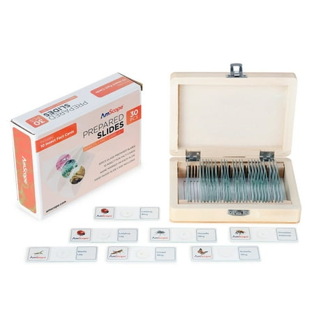 30 Piece Glass Prepared Microscope Slides in Wooden Case with Insect Specimens price history on PriceWatchPro