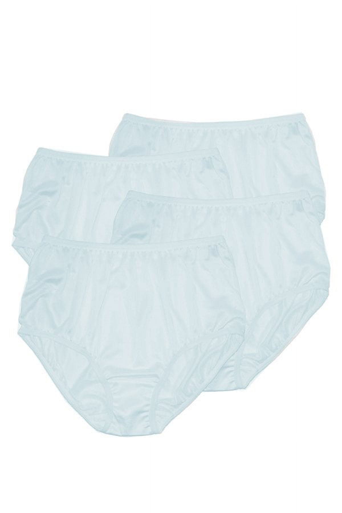 Teri Women's 331 Full Cut Nylon Brief Panty - 4 Pack