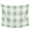 Green, variant on Sage Green Plaid Tapestry for Bedroom Wall Hanging Tapestry, Spring Farmhouse Buffalo Checkered Ceiling Backdrop Tapestries Poster Blanket Wall Decor for Teens Room Living Room Dorm 59" x 79"