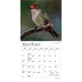 thumbnail image 3 of Hummingbirds 2027 7x14" (Hanging) Mini Wall Calendar | Foil Stamped Cover | Plato, 3 of 9
