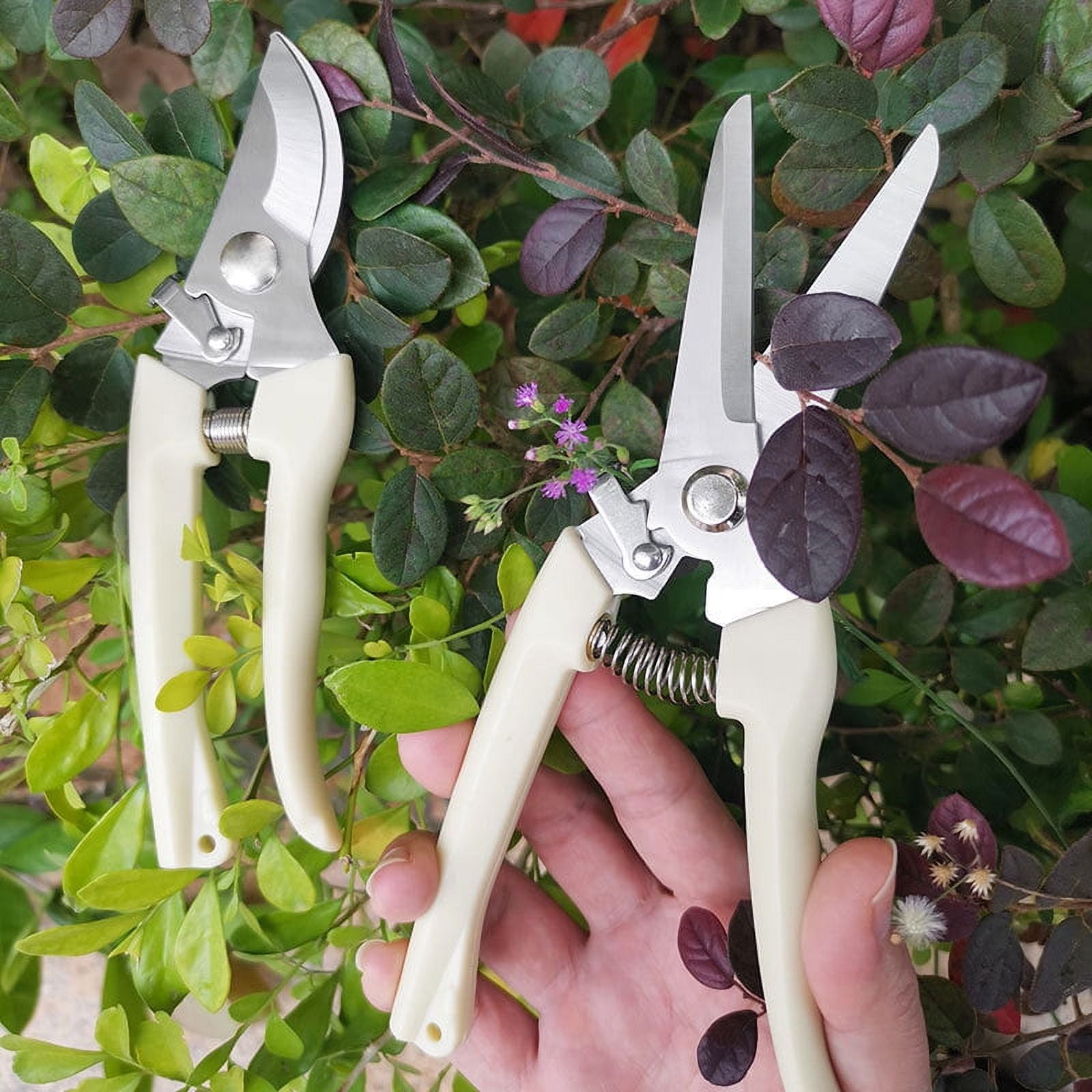 Professional Hand Pruner Bypass Pruning Shears with Safety Lock, Tree  Trimmers Secateurs, Garden Shears, Clippers for the Garden Random color 