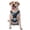 With Accessories, variant on Naloa Blue Thunder Storm Dragon Pet Harness Vest with Traction Rope, Adjustable No-Choke Dog Vest for Outdoor, Walking -