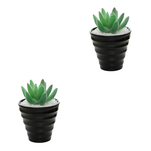 Yuarrent Bonsái Artificial para exteriores, paisaje interior, simulación decorativa, suculentas, Mini plantas de PVC, arreglo para el hogar y Tipo 1 2piezas
