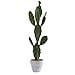thumbnail image 3 of Nearly Natural 4338 37 in. Cactus Artificial Plant, 3 of 4