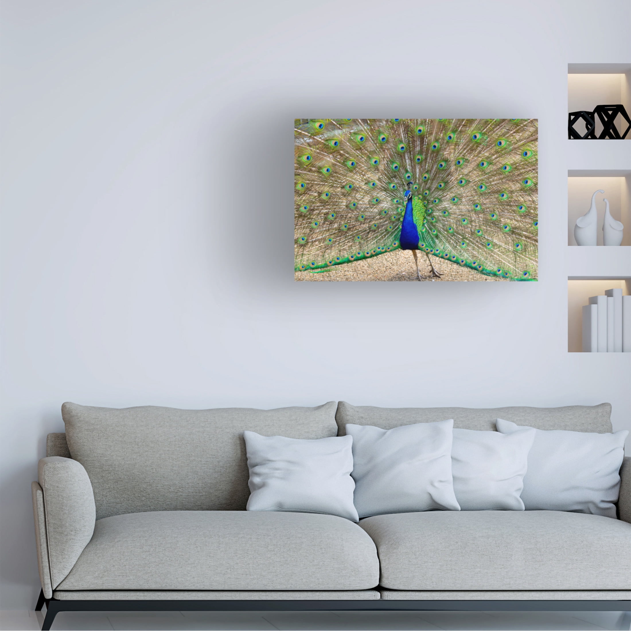 Canvas Wall Art - Robert Michaud 'Peacock 1' Wall Art for Living Room, Bedroom, or Office Décor by Trademark Fine Art - 24 x 16 Inches