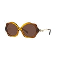 thumbnail image 5 of COACH HC8346BU 57016G C9200 Grad Trans Amb Smoke Solid 55 Women's Sunglasses, 5 of 6