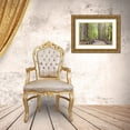 thumbnail image 3 of Paulson, Don 18x13 Gold Ornate Wood Framed with Double Matting Museum Art Print Titled - CA, Big Basin Redwoods SP, Trail through redwoods, 3 of 4