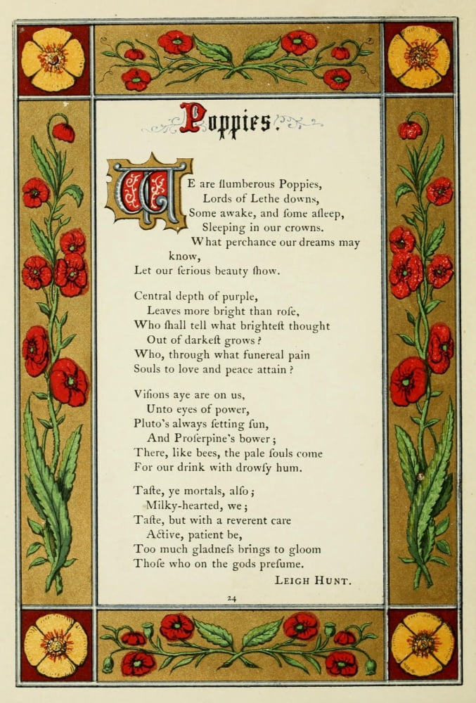 The Floral Gift 186