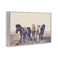 thumbnail image 3 of Stupell Industries Muted Brown Horse Group Gray Framed Giclee Art, design by Sisi and Seb, 3 of 8