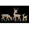 thumbnail image 2 of Northlight Ensemble de 3 Biche, Faon et Renne Scintillants Blancs Décoration Extérieure de Noël Éclairée, 2 of 4