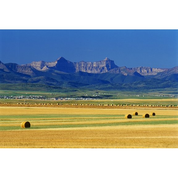 Farmland With Mountain In Background Pincher Creek Alberta Canvas Art - Mike Grandmaison  Design Pics (18 x 12)