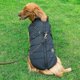 thumbnail image 3 of Chaqueta grande para perro con arnés, ropa de invierno cálida e impermeable., 3 of 5