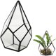 thumbnail image 4 of Maceta de Terrario geométrico BLESIY Negro, 4 of 7