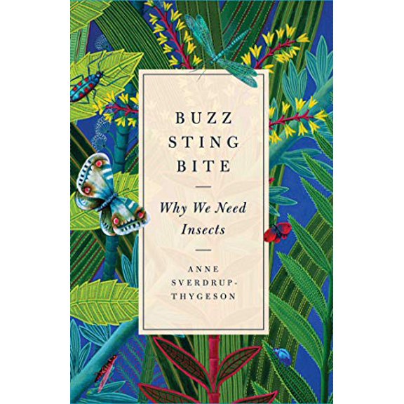 Pre-Owned Buzz, Sting, Bite: Why We Need Insects (Hardcover) 1982112875 9781982112875