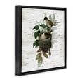 thumbnail image 2 of Stupell Industries Cottage Birds in Vintage Nest Black Floating Frame Canvas Art, 18 x 18, by Susan Arnot, 2 of 7