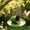 green, variant on Taicans Hanging Metal Bird Feeder Cup Shaped Vintage Cup & Saucer Design Outdoor Garden Yard Decoration – Weather Resistant Rustproof with Chain,15.7"x7.9"