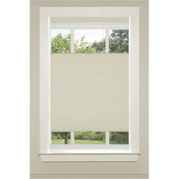 Top-Down Bottom-Up Cordless Honeycomb Cellulat Shade, Alabaster - 36 x 64 in.