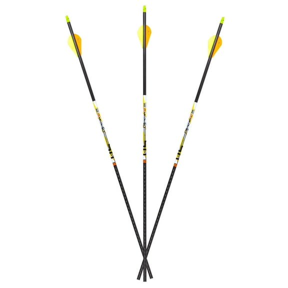 Carbon Express D-Stroyer SD 400, 6-Pack Fletched