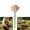 Pink, variant on 2 Pack Bee Watering Station for Garden – Ceramics Bee Bath Feeder with Flower & Butterfly Design, Colorful Pollinator Drinking Water Bowl, Outdoor Yard Decor Stake for Bees & Butterflies