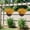 I, variant on Upgraded Lifelike Plastic Artificial Flowers Artificial Violet Plants For Home And Outdoor Decoration Low Maintenance And Realistic J