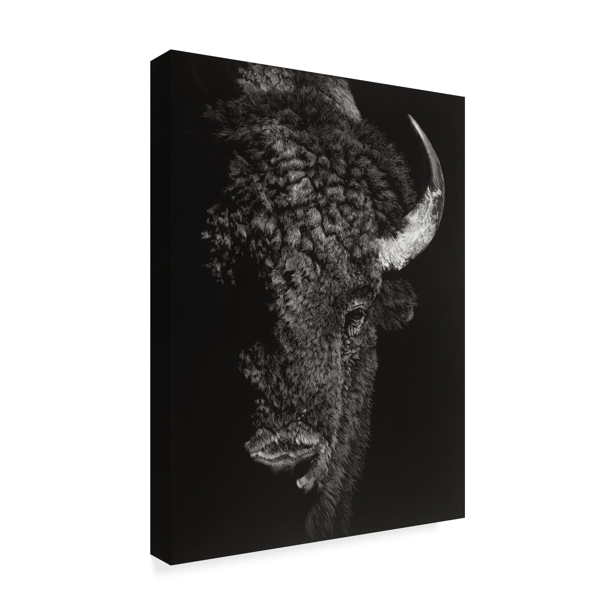 Trademark Fine Art 'Black Glimpse I' Canvas Art by Julie T. Chapman