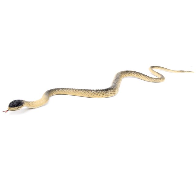 Serpiente de goma de 45cm, juguete de , accesorio de jardín, broma Colco Pretend Serpiente modelo de juguete truco