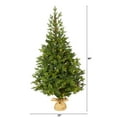 thumbnail image 5 of Nearly Natural 5' Flocked Fraser Fir Artificial Christmas Tree, Prelit with 300 Warm White Lights, 5 of 5