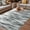 Silver, variant on Sage Green Grey Vintage Outdoor Rug for Patio/Deck/Porch, Non-Slip Large Area Rug 5 x 7 Ft, Retro Abstract Art Indoor Outdoor Rugs Washable Area Rugs, Reversible Camping Rug Carpet Runner