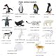 thumbnail image 5 of Oukeyi 14 Piezas Figuras de Animales Polares Realistas Juguete Mini Animales Árticos Juego de Juguetes 1-2 Pulgadas Plástico Tundra Ártica Ciervo Juguete Animal Pequeño Oso Blanco Zorro Ártico Niños D, 5 of 5