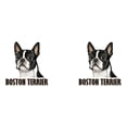 thumbnail image 3 of CafePress - Boston Terrier Full Color Large Mug - 15 oz Ceramic Large White Novelty Mug, 3 of 6