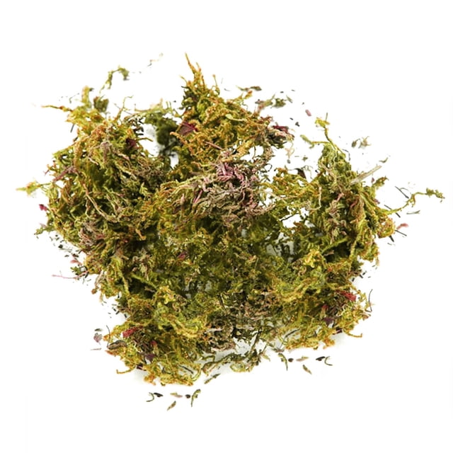 Fake Moss Artificial Moss For Potted Plants Greenery Moss Home Decor Fairy Garden Crafts Wedding Decoration Fresh Green