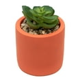 thumbnail image 6 of Mainstays by Becky G. & Alejandra 5.5" Artificial Succulent Plants in Orange, Mimosa & White Modern Ceramic Planters (3 Count), 6 of 11