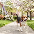thumbnail image 3 of Vibrant Life 6' Neoprene Cushioned Leash, Lavender, M/L, 3 of 10