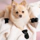thumbnail image 4 of Aleko Zapatos para Perros, 4 Piezas, Protectores Antideslizantes para Patas de Perro, Zapatos Impermeables para Perros con Correas Reflectantes, Protectores para Patas de Perro de Invierno, Suela Blanda, Apto para Perros Pequeños, Negro ACTIVE Biensenido a ACTIVE, 4 of 5