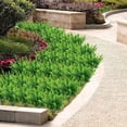 thumbnail image 5 of Morttic 10 Bundles Artificial Boxwood Plants Shrubs Artificial Flowers for Outdoors UV Resistant Greenery Foliage Spring Garden Farmhouse Office Patio Wedding Decor Indoor Decoration, 5 of 6