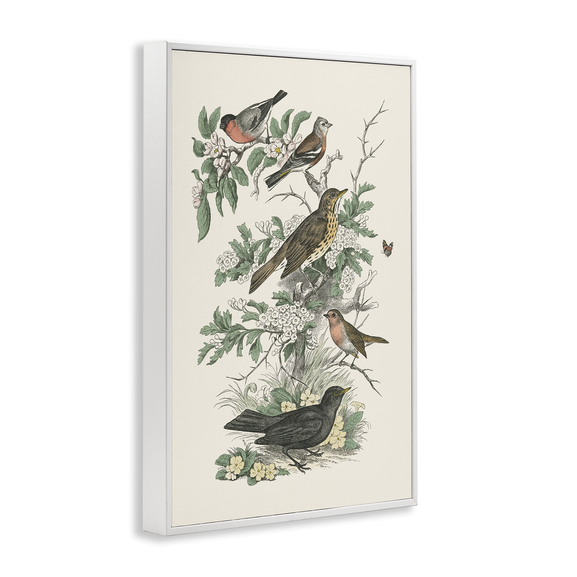 Stupell Industries Honeybloom Birds Perched Botanical & Floral Painting White Framed Art Print Wall Art, 16 x 24